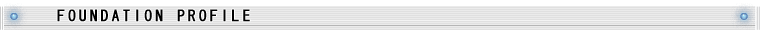 FOUNDATION PROFILE