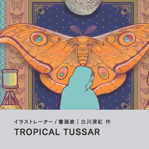 白川深紅「TROPICAL TUSSAR」