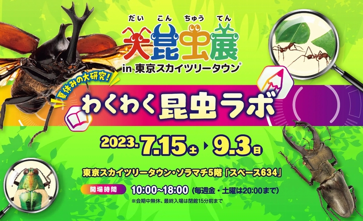 大昆虫展 in 東京スカイツリータウン®～夏休みの大研究！わくわく昆虫ラボ～