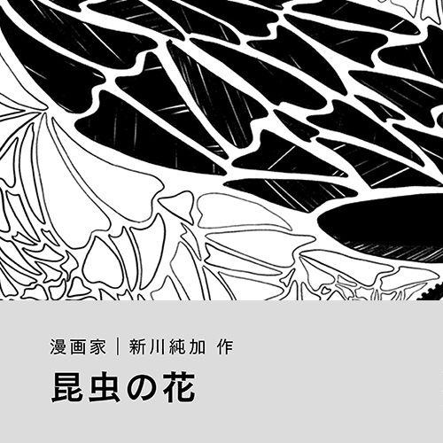 新川純加「昆虫の花」