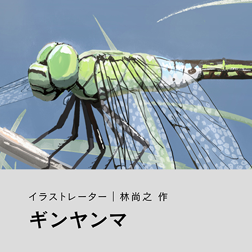 林尚之「ギンヤンマ」