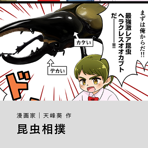 天峰葵「昆虫相撲」
