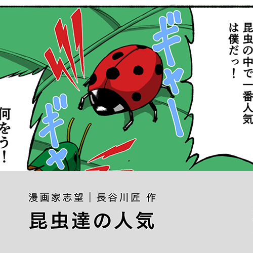 長谷川匠「昆虫達の人気」