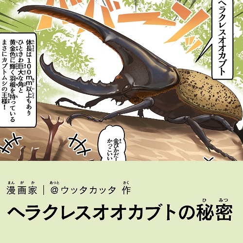 ＠ウッタカッタ「ヘラクレスオオカブトの秘密」