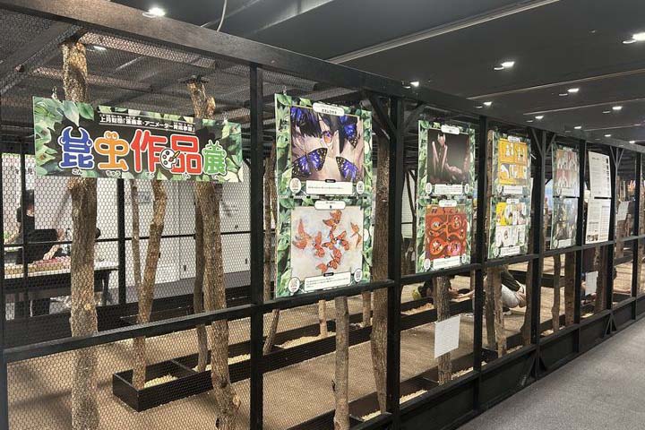 パネル展示