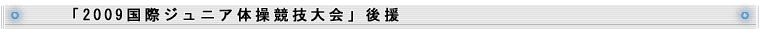 u2009ۃWjȂZv㉇