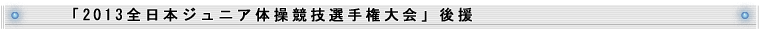 u2013S{WjȂZI茠v㉇