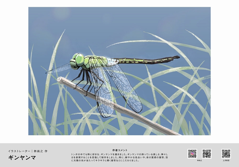 『ギンヤンマ』(C)林尚之/上月財団